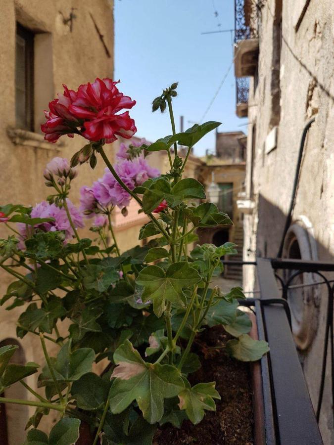 Casa Vacanze Da Mammanonna Taurasi Εξωτερικό φωτογραφία